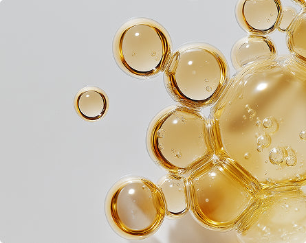 Ceramide Complex